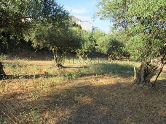 Foto 2 de Venta de terreno en calle Llanillo de San Esteban de 1490 m²