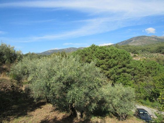 Foto 1 de Venta de terreno en Valverde de la Vera de 2580 m²