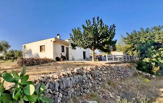 Foto 1 de Casa rural en venda a calle Partida Burga de 4 habitacions amb terrassa i jardí