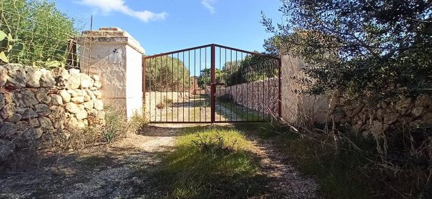 Foto 2 de Venta de casa rural en Vilafranca de Bonany de 6 habitaciones con jardín