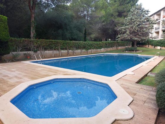 Foto 1 de Pis en venda a Calvià de 1 habitació amb terrassa i piscina
