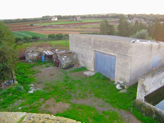 Foto 2 de Casa rural en venda a Santa Margalida de 4 habitacions amb piscina i jardí