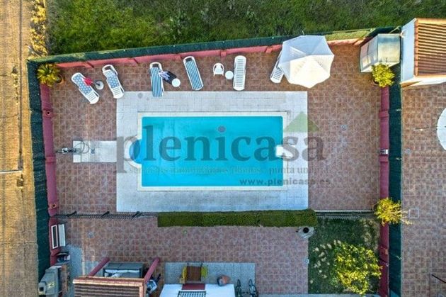 Foto 2 de Xalet en lloguer a Cartaya de 4 habitacions amb terrassa i piscina