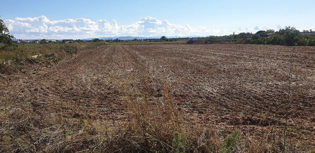 Foto 2 de Venta de terreno en Calera y Chozas de 6933 m²