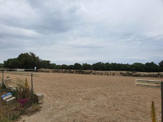 Foto 1 de Venta de terreno en Castell (Es) de 11882 m²