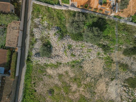 Foto 2 de Venta de terreno en Calvià de 836 m²