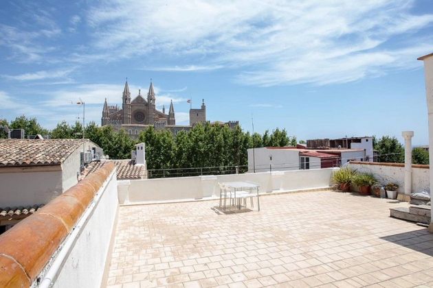 Foto 2 de Estudi en lloguer a La Llotja - Sant Jaume amb terrassa i aire acondicionat