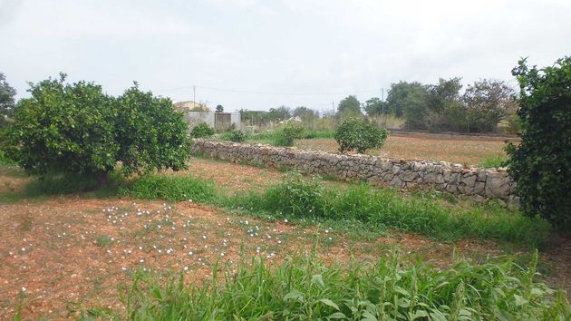 Foto 1 de Casa rural en venda a La Xara - La Sella - Jesús Pobre de 3 habitacions amb jardí