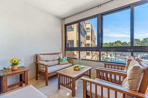 Foto 2 de Piso en venta en Playa Mucha Vista de 2 habitaciones con terraza y piscina