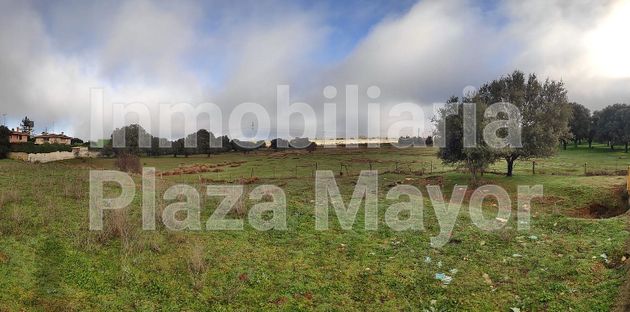 Foto 2 de Venta de terreno en Galindo y Perahuy de 42952 m²
