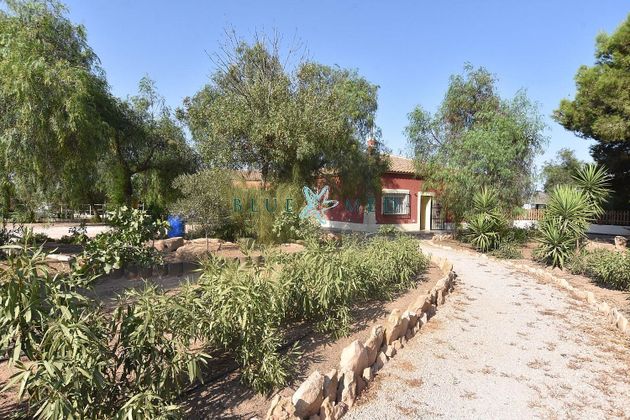 Foto 2 de Venta de casa rural en Fuente Alamo de 3 habitaciones con terraza y piscina