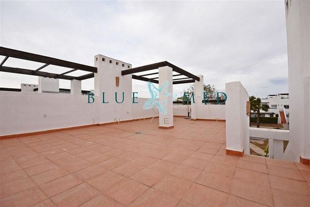 Foto 2 de Àtic en venda a edificio Central de Las Cañadas de 2 habitacions amb terrassa i piscina