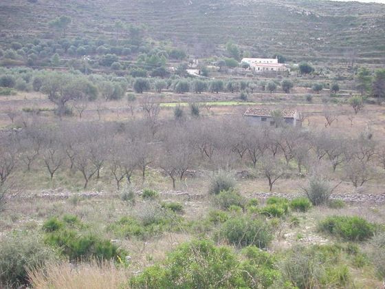 Foto 1 de Venta de terreno en Alcalalí de 10000 m²