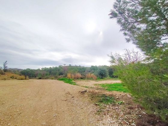 Foto 2 de Venta de terreno en Montiboli - Platja de Paradís de 228050 m²