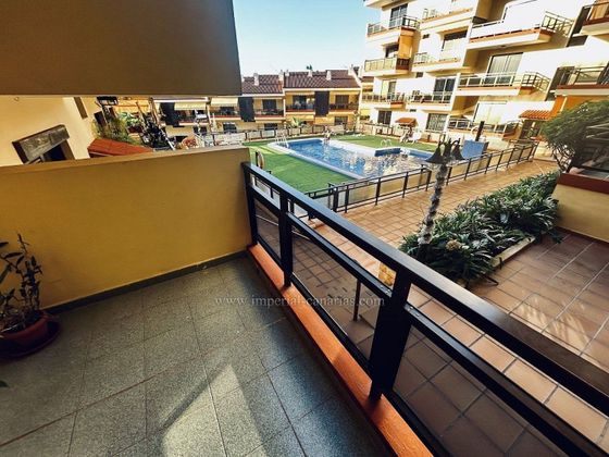 Foto 1 de Alquiler de piso en Zona Botánico de 1 habitación con terraza y piscina