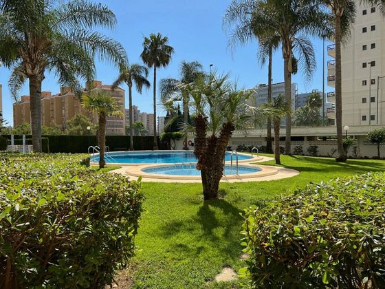 Foto 2 de Pis en lloguer a Playa de Gandia de 3 habitacions amb terrassa i piscina