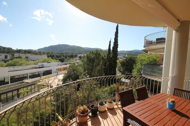 Foto 1 de Pis en venda a Bellver - Son Dureta- La Teulera de 3 habitacions amb terrassa i piscina