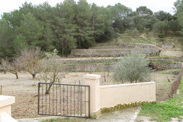 Foto 2 de Xalet en venda a Puigpunyent de 11 habitacions amb terrassa i jardí