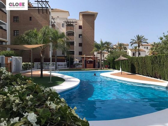 Foto 1 de Pis en venda a calle Rector José Vida Soria de 3 habitacions amb terrassa i piscina