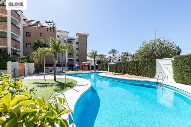 Foto 2 de Pis en venda a calle Rector José Vida Soria de 3 habitacions amb terrassa i piscina