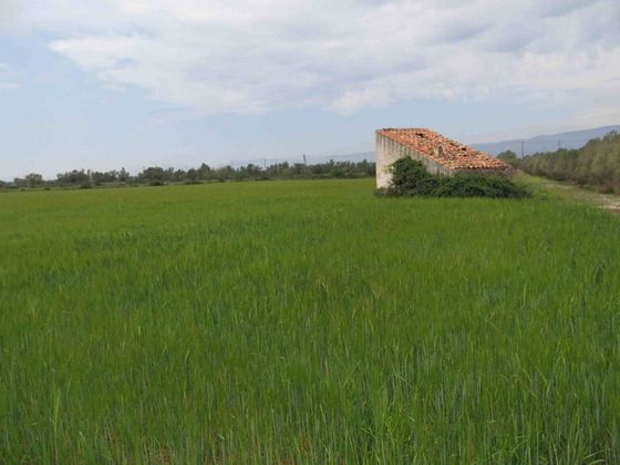 Foto 2 de Venta de terreno en Ulldecona de 20000 m²