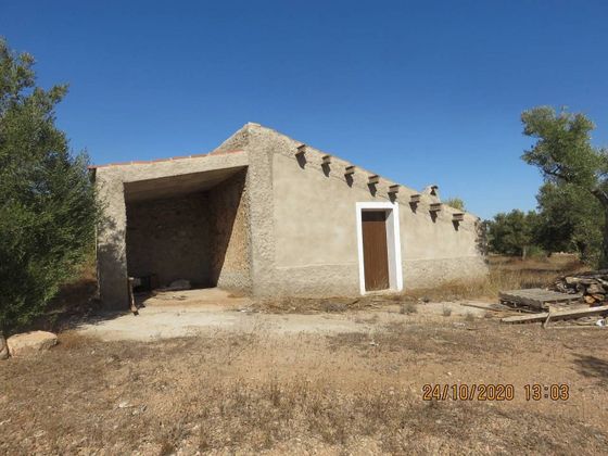 Foto 1 de Casa rural en venda a Xerta de 1 habitació i 35000 m²