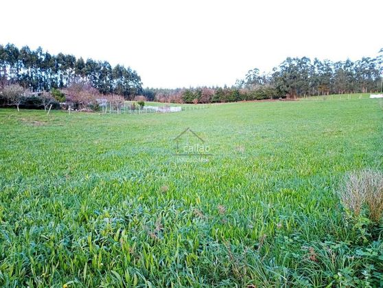 Foto 1 de Venta de terreno en Valdoviño de 5960 m²