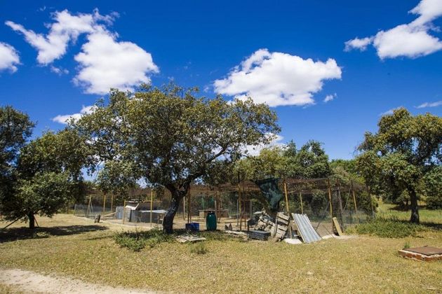 Foto 2 de Casa rural en venda a El Pinar - La Dehesa - Resto de Navalcarnero de 4 habitacions amb piscina i jardí
