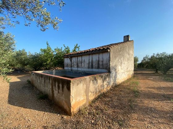 Foto 2 de Casa rural en venda a Ulldecona de 1 habitació amb piscina