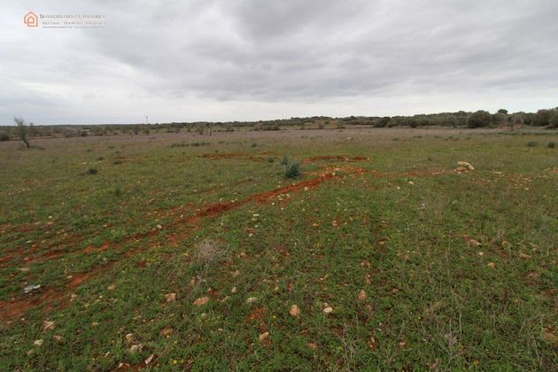 Foto 1 de Venta de terreno en Salines (Ses) de 7141 m²