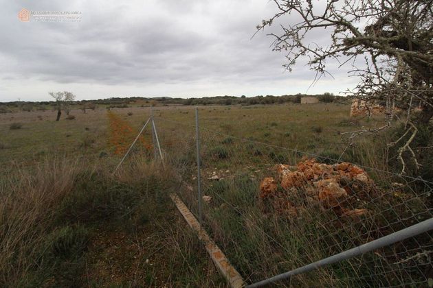 Foto 2 de Venta de terreno en Salines (Ses) de 7141 m²