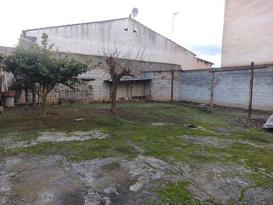 Foto Láchar