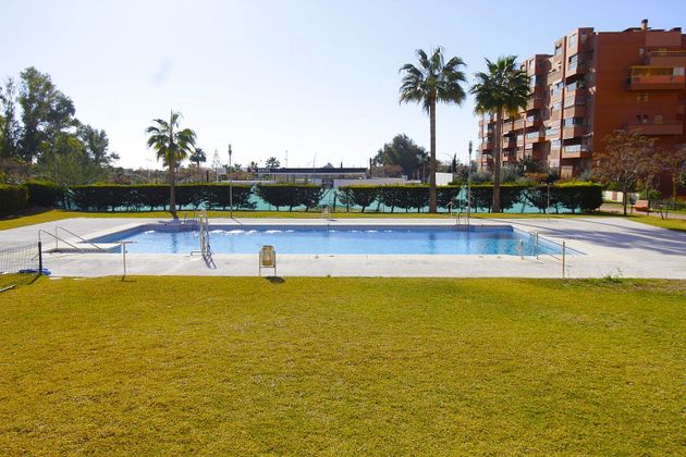 Foto 1 de Pis en venda a El Cónsul - Ciudad Universitaria de 1 habitació amb terrassa i piscina