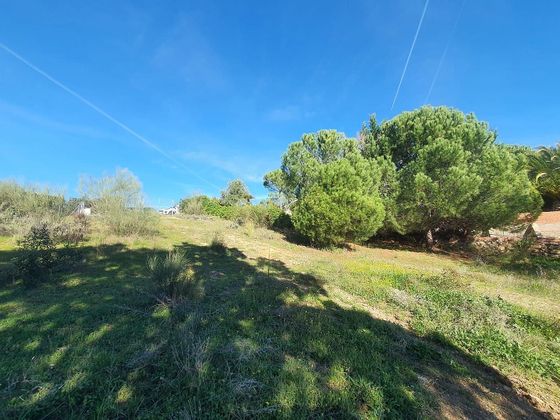 Foto 2 de Venta de terreno en Cerro de Alarcón - Puente La Sierra - Mirador del Romero de 1084 m²