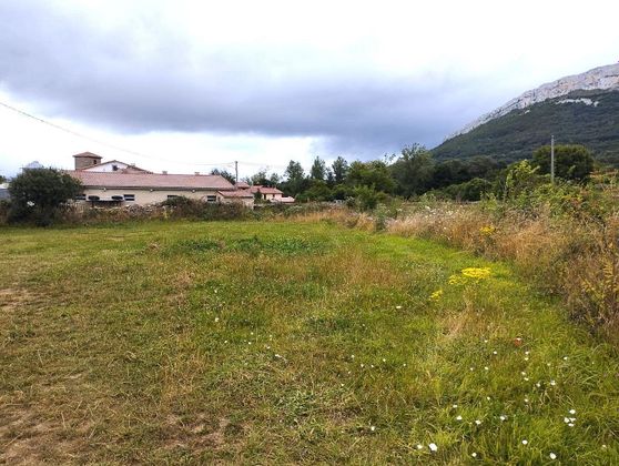 Foto 1 de Venta de terreno en Merindad de Montija de 1000 m²