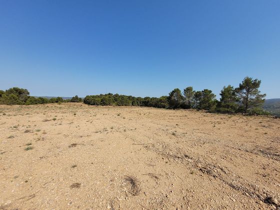 Foto 1 de Venta de terreno en Turís de 14958 m²