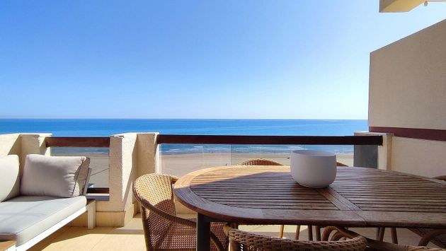 Foto 1 de Pis en venda a Playa de Gandia de 3 habitacions amb terrassa i jardí