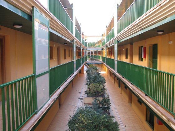 Foto 2 de Piso en venta en calle Eucaliptus de 2 habitaciones con terraza y aire acondicionado