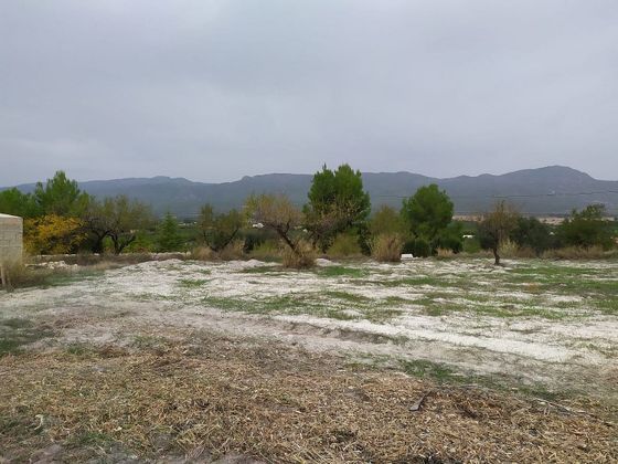 Foto 2 de Venta de terreno en Moratalla de 4353 m²