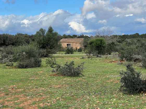 Foto 1 de Venta de terreno en Algaida de 15830 m²