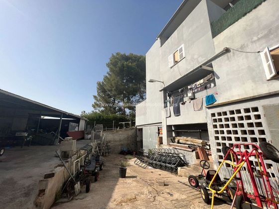 Foto 1 de Nau en venda a Port d'Alcúdia - Platja d'Alcúdia amb garatge i ascensor