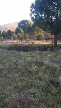 Foto 1 de Venta de terreno en San Martín de Valdeiglesias de 9879 m²