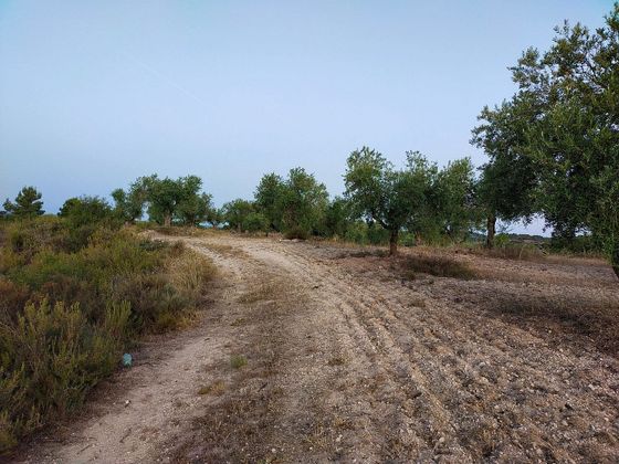 Foto 1 de Venta de terreno en calle Castelldans de 37000 m²