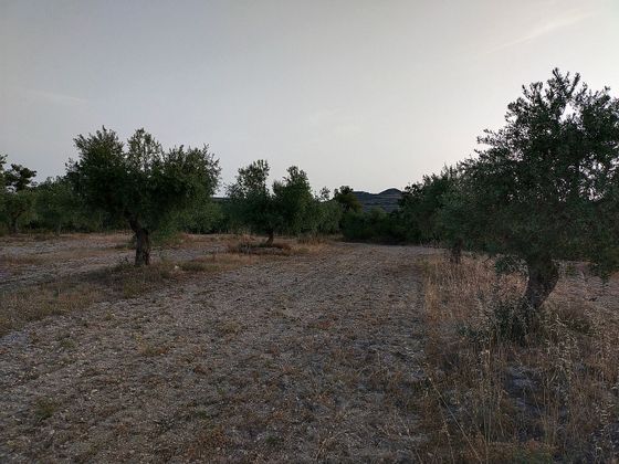 Foto 2 de Venta de terreno en calle Castelldans de 37000 m²