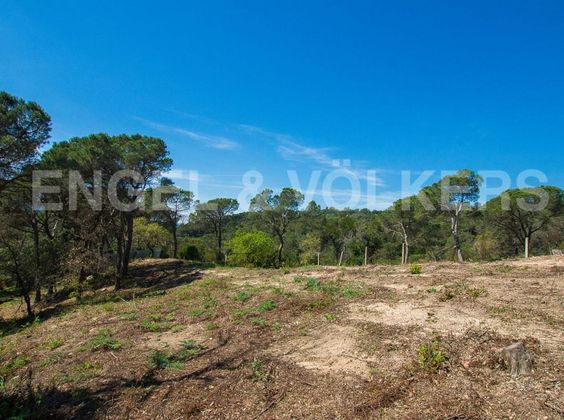 Foto 2 de Venta de terreno en Vilanova del Vallès de 2630 m²