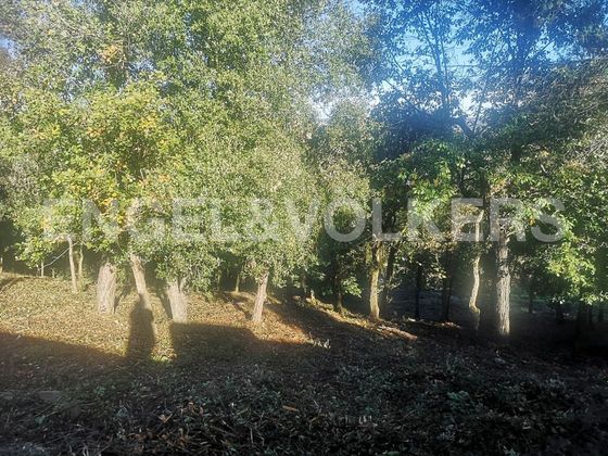 Foto 2 de Venta de terreno en Fogars de la Selva de 900 m²