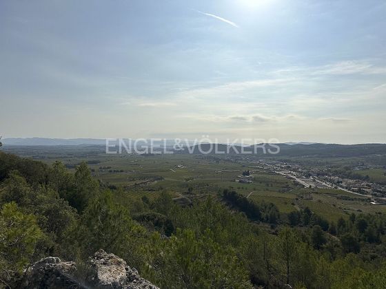 Foto 1 de Terreny en venda a Torrelles de Foix de 80035 m²