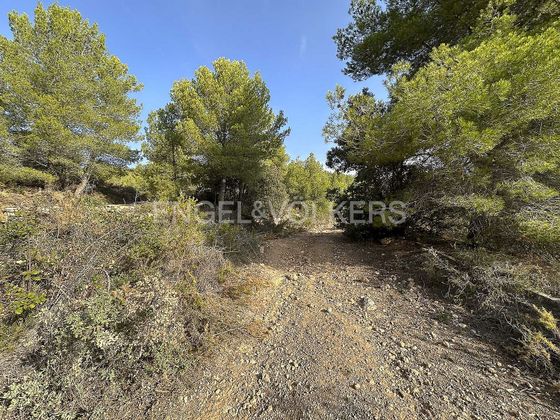 Foto 2 de Venta de terreno en Torrelles de Foix de 80035 m²