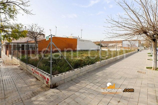 Foto 2 de Venta de terreno en Divina Pastora de 450 m²