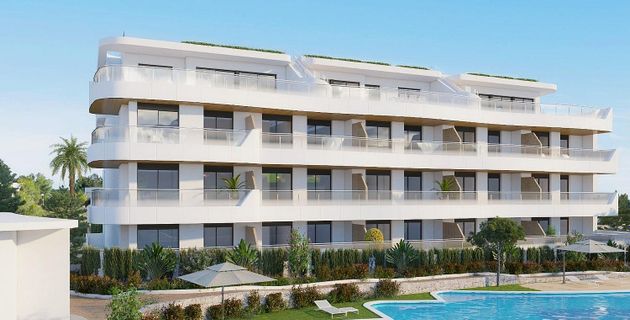 Foto 1 de Ático en venta en Playa Flamenca - Punta Prima de 3 habitaciones con terraza y piscina